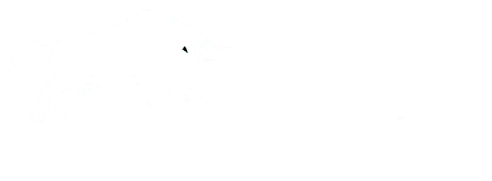 BullMedia