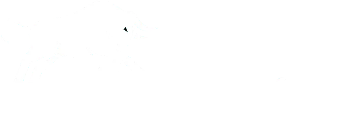 BullMedia